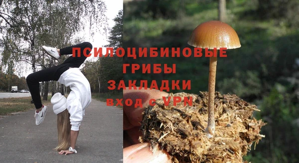 бутират Алексеевка